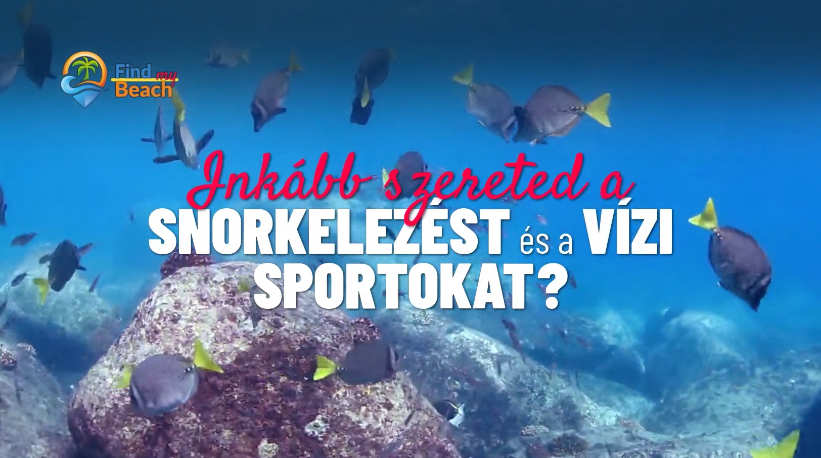 Inkább szereted a snorkelezést és a vízi sportokat?
